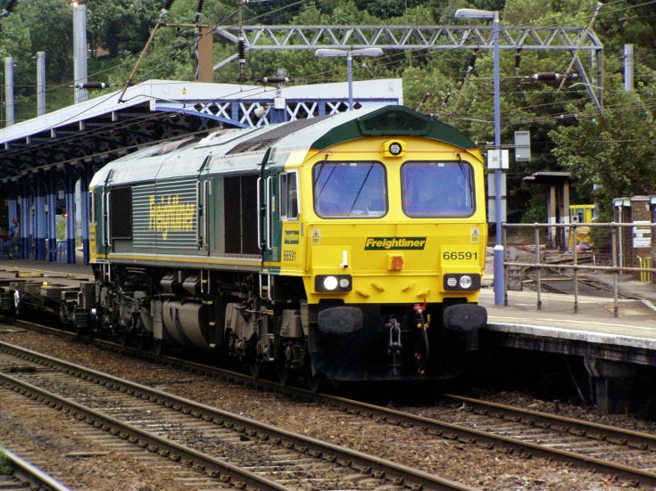 66591