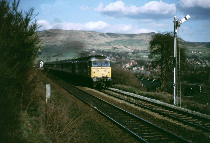 Sunny Greenfield