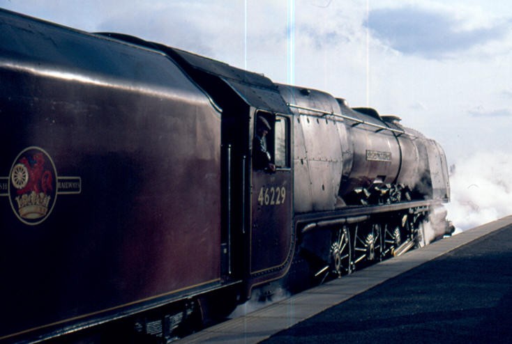 Duchess steaming up