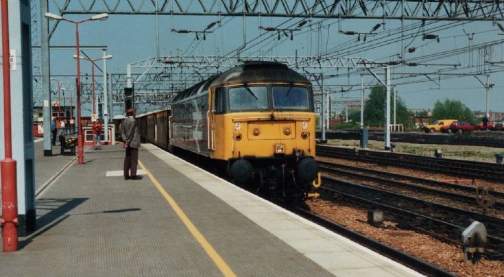 SUNNY CREWE