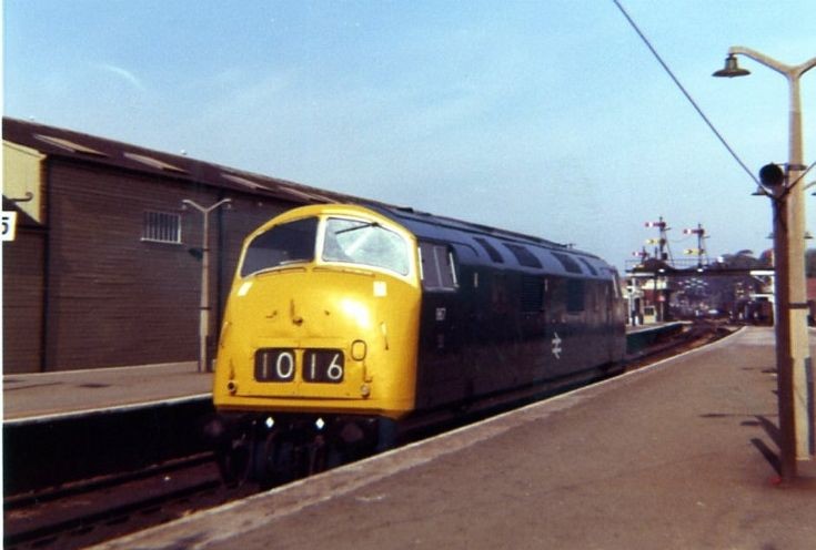 D867 ZENITH