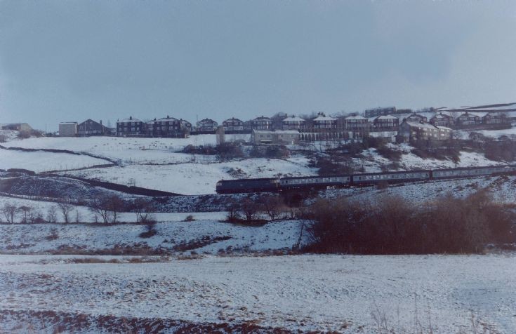 WINTER WONDERLAND