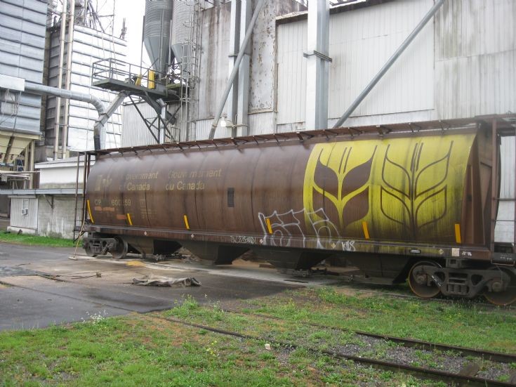 Government of Canada grain government of canada. Government of Canada grain