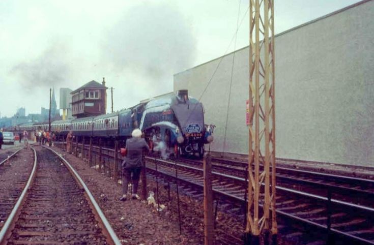 Sir Nigel at Dundee