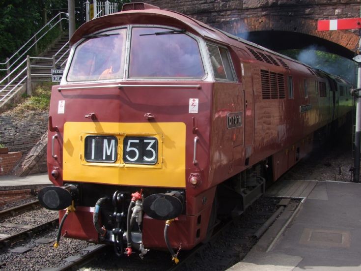 D1010