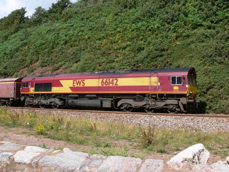 66142 at Dawlish