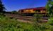 Class 66 hides in the undergrowth - 66148
