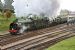 Two Knights at Horsted Keynes