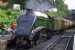 60019 at Arlesford