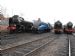 Fab Four at Barrowhill