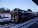 Snowy 158