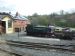 Ferret at Llanfair