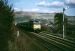 Sunny Greenfield