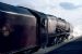 Duchess steaming up
