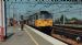 SUNNY CREWE