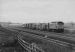 STRANGE TRAIN