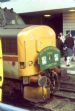 West Highland Centenary