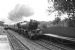 6201 ~ Princess Elizabeth